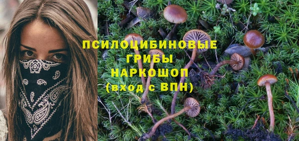 кокаин премиум Алексин