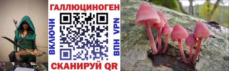 купить закладку  Бакал  Псилоцибиновые грибы прущие грибы 