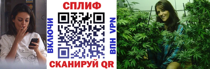наркотики  darknet клад  Конопля семена  Бакал  blacksprut ссылка 